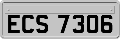 ECS7306