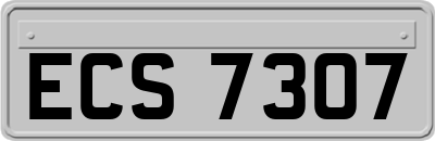 ECS7307