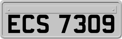ECS7309