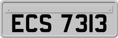 ECS7313