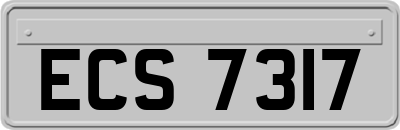 ECS7317