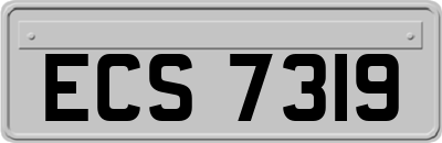 ECS7319
