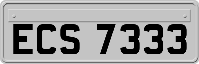 ECS7333