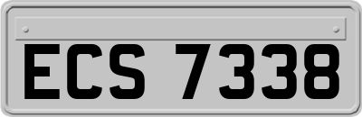 ECS7338