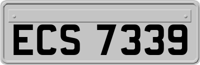 ECS7339