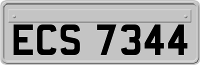 ECS7344