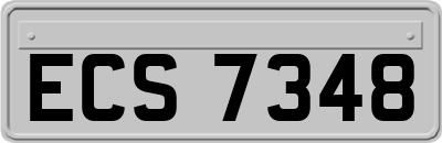 ECS7348
