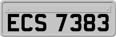 ECS7383