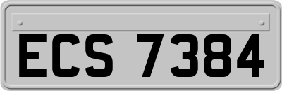 ECS7384