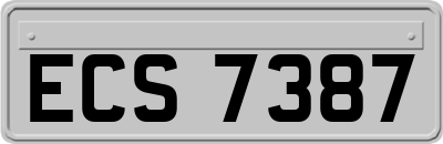 ECS7387