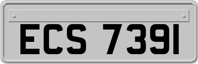 ECS7391