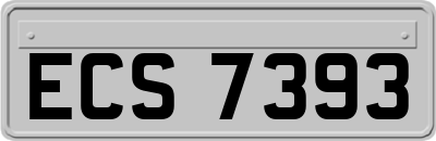 ECS7393