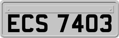 ECS7403