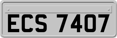 ECS7407