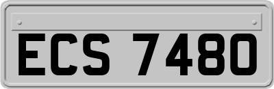 ECS7480