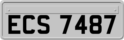 ECS7487