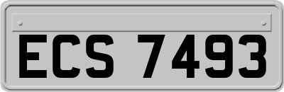 ECS7493