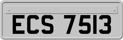 ECS7513