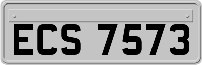 ECS7573