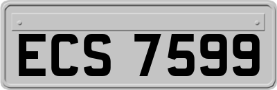 ECS7599