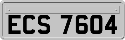 ECS7604