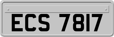 ECS7817