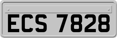 ECS7828