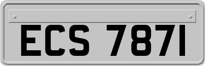 ECS7871