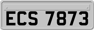 ECS7873