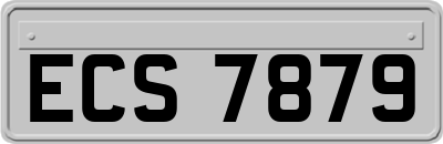 ECS7879