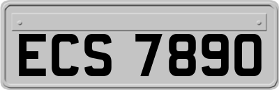 ECS7890
