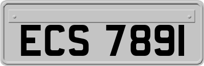 ECS7891