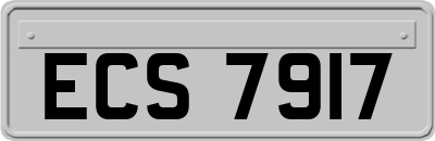 ECS7917