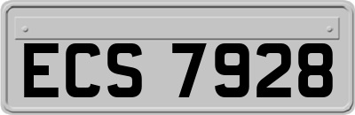 ECS7928