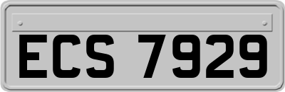 ECS7929