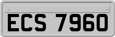 ECS7960