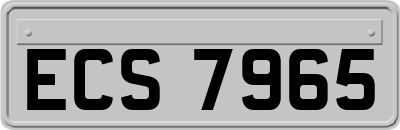 ECS7965
