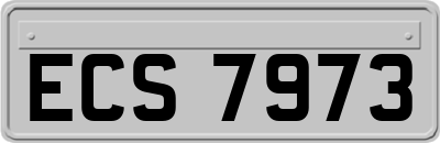 ECS7973