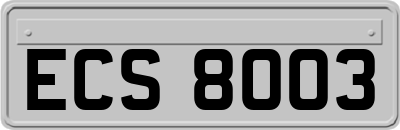 ECS8003
