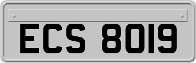 ECS8019
