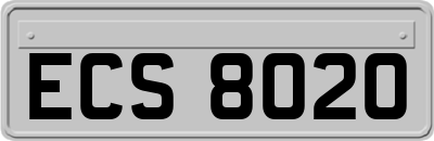 ECS8020