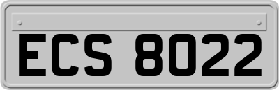 ECS8022