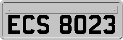 ECS8023