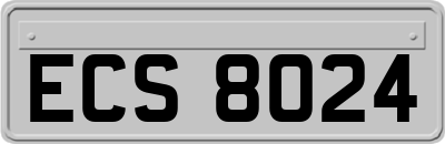 ECS8024