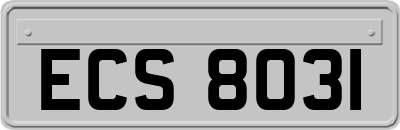 ECS8031