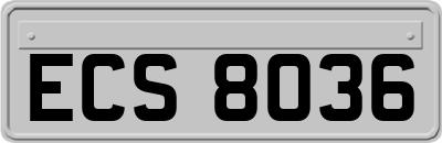 ECS8036