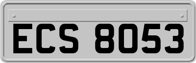 ECS8053