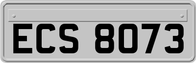 ECS8073