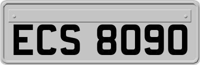 ECS8090
