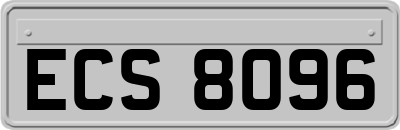 ECS8096